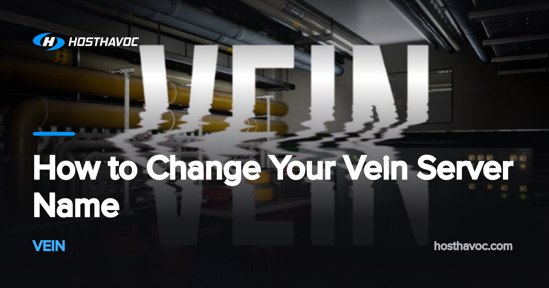 How to Change Your Vein Server Name | Host Havoc