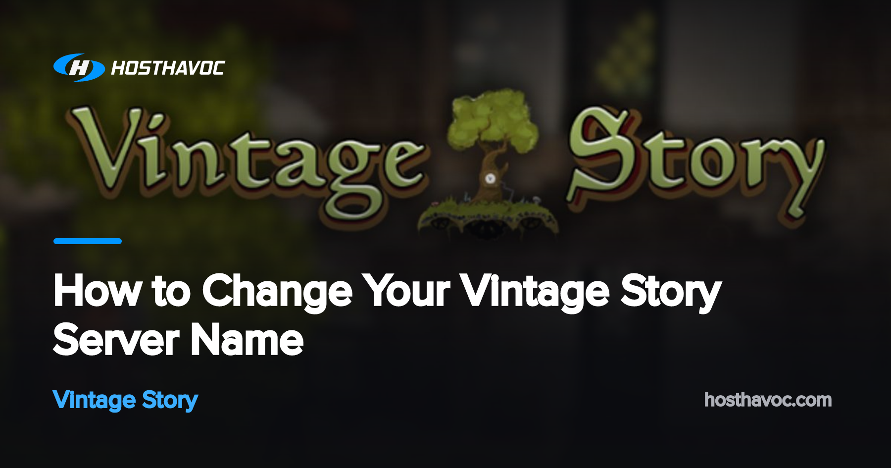 How to Change Your Vintage Story Server Name | Host Havoc