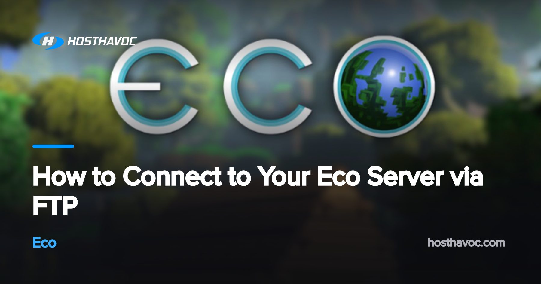 How to Connect to Your Eco Server via FTP | Host Havoc