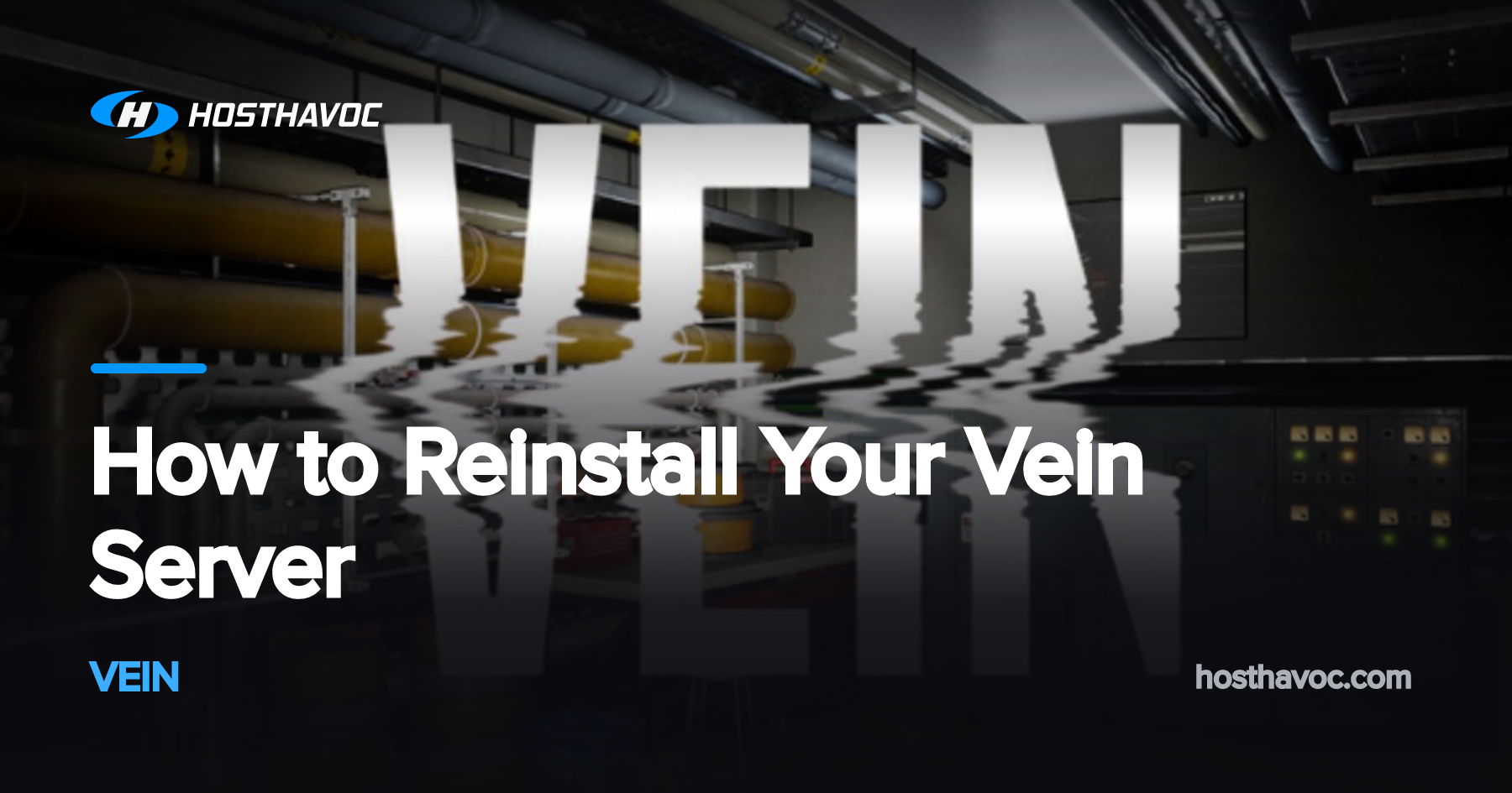 How to Reinstall Your Vein Server | Host Havoc