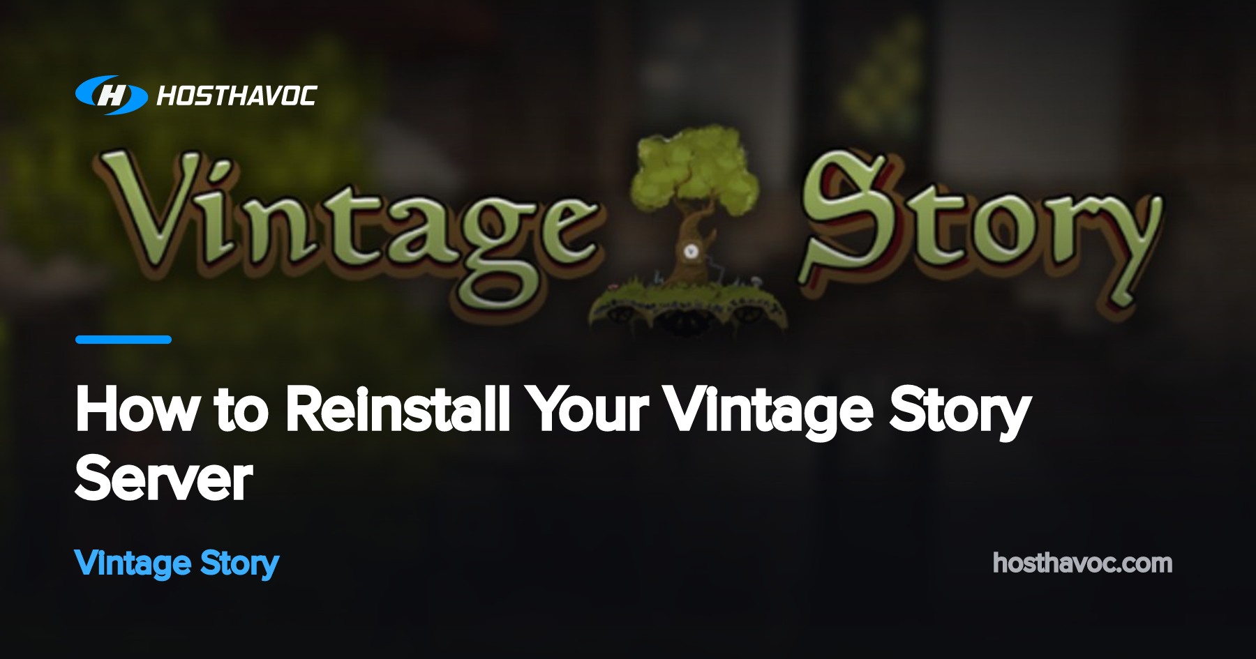 How to Reinstall Your Vintage Story Server | Host Havoc