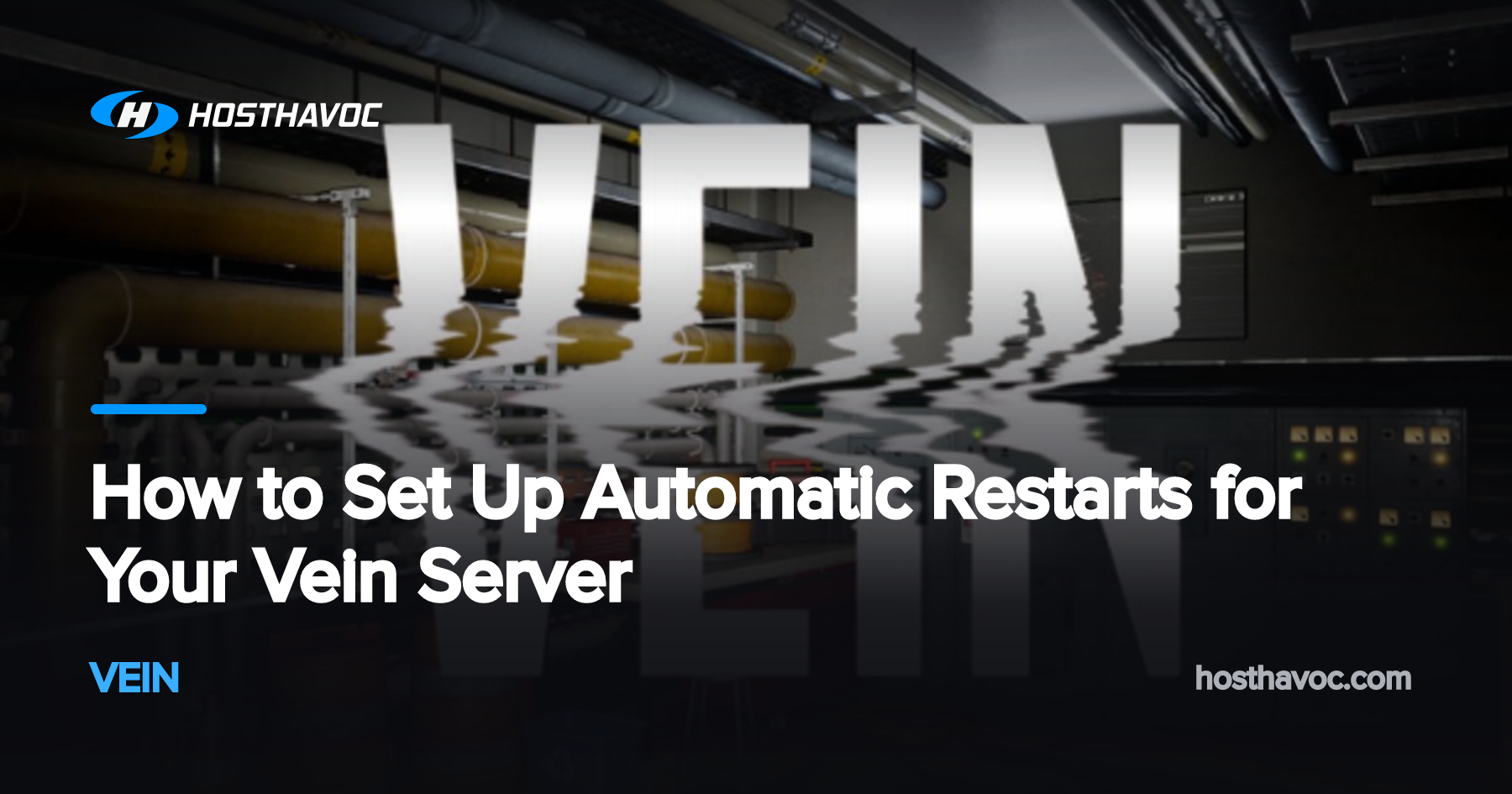 How to Set Up Automatic Restarts for Your Vein Server | Host Havoc