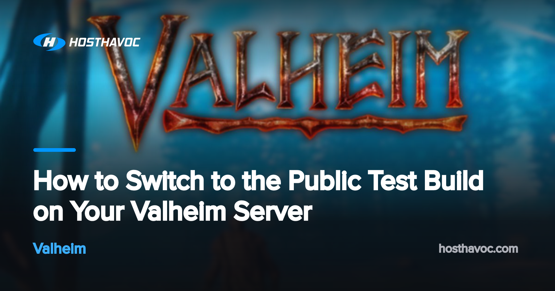 Public Test Build How to Switch to the Public Test Build on Your Valheim Server | Host Havoc