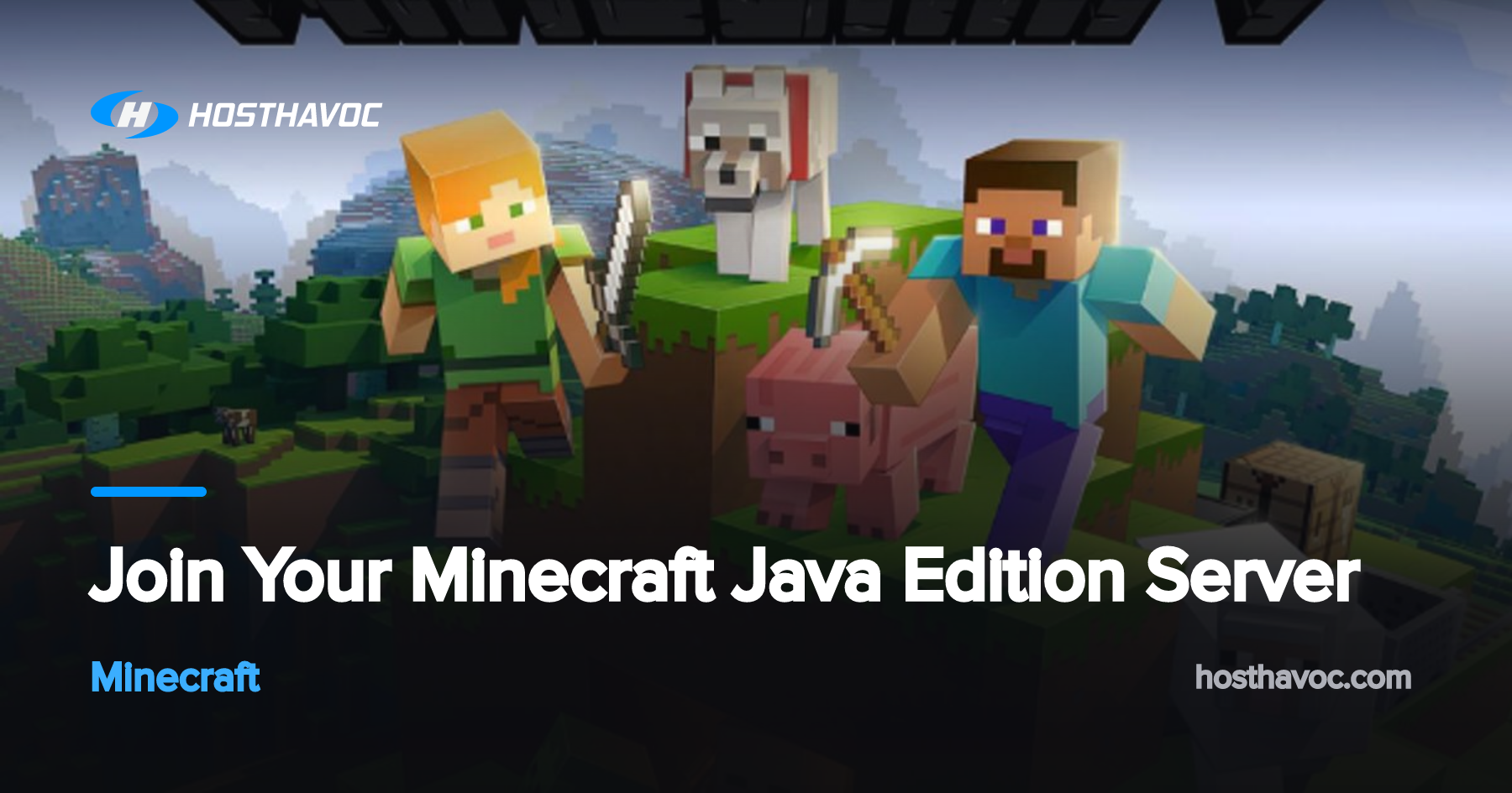 Join Your Minecraft Java Edition Server | Host Havoc