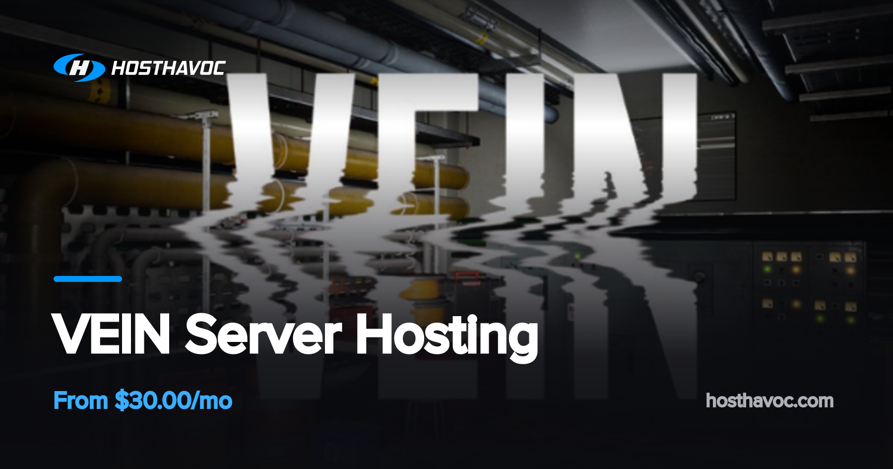 VEIN Server Hosting | Host Havoc